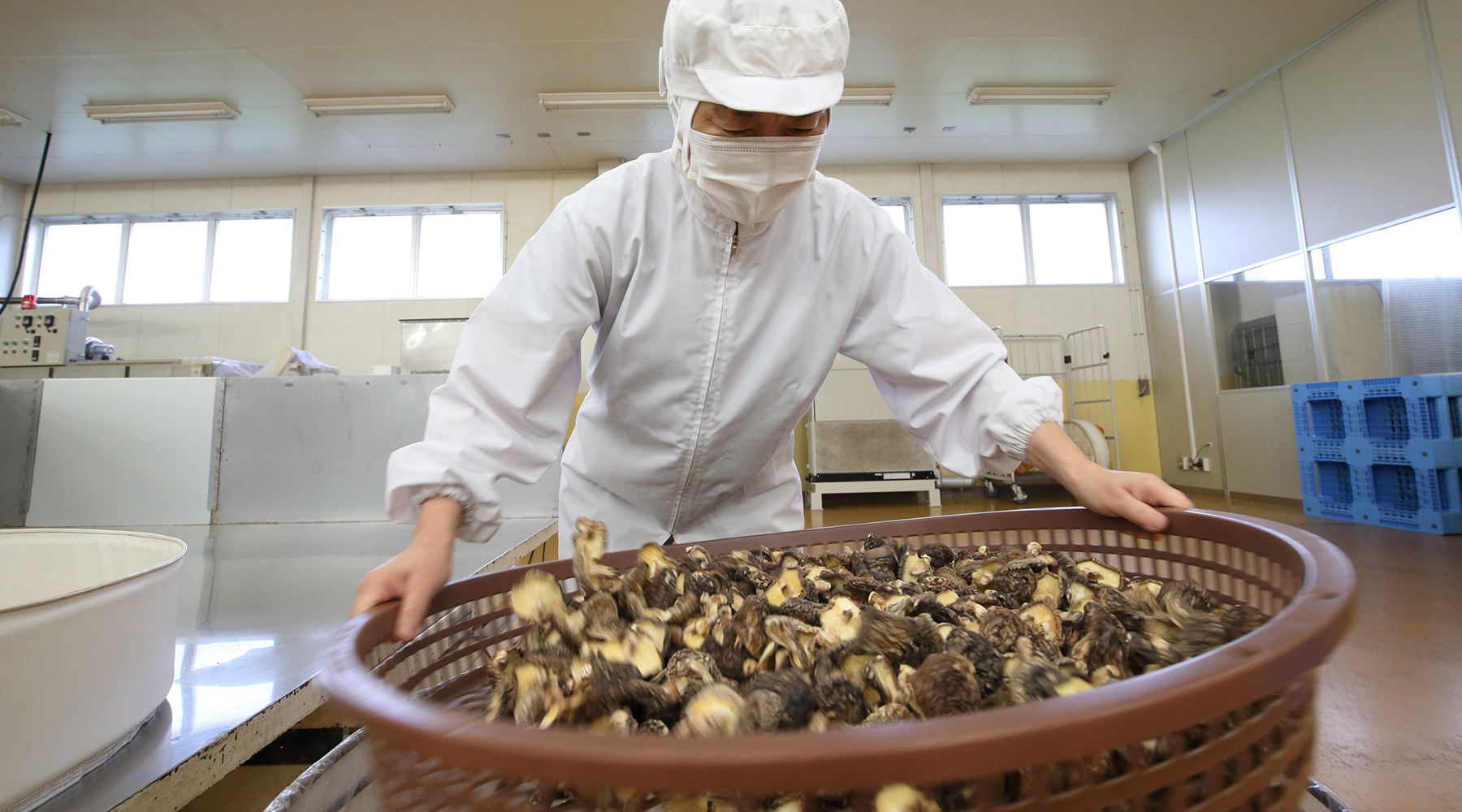 産地の特徴に合わせたブレンド